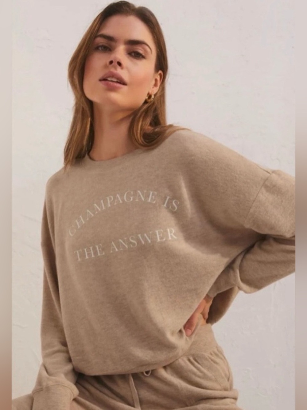Z Supply Elle Champagne is the Answer Sweatshirt in Heather Latte Small NEW